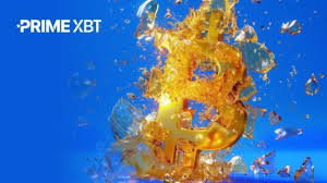 Explore the Benefits of Trading with PrimeXBT Forex